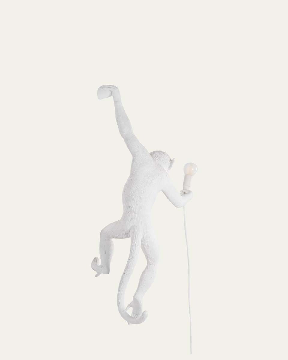 Monkey Outdoor Hanging Lamp